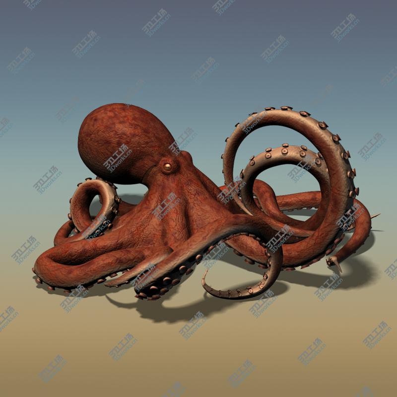 images/goods_img/20210313/Octopus RIGGED/2.jpg